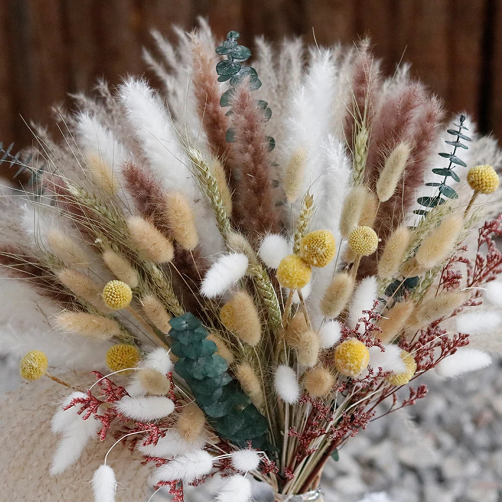 Dog Tail Grass Reed Dried Flower Home Decor Artifical Plant Bouquet Garden Party Wedding Arrangement Floral Props Diy Supplies