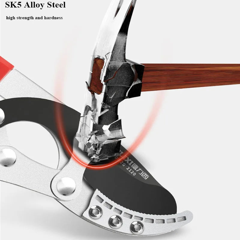DELIXI Long Pruner Garden Branch Scissors SK5 Steel Garden Tools Professional Hand Tools Gardening Fruit Tree Pruning Shears
