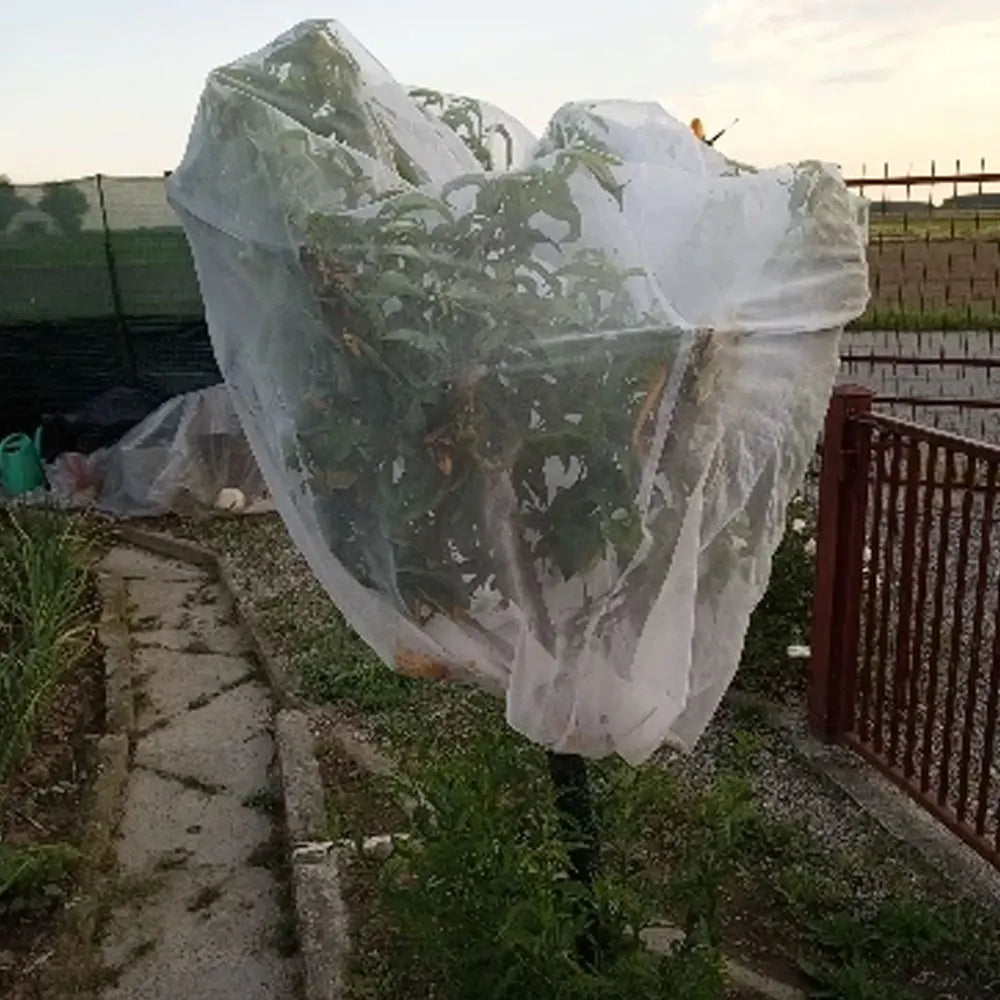 Plant Protection Bag Cover Netting Mesh for Fruit Vegetable Tree Barrier Strawberry Grapes Pest Control Anti-Bird Garden Tools