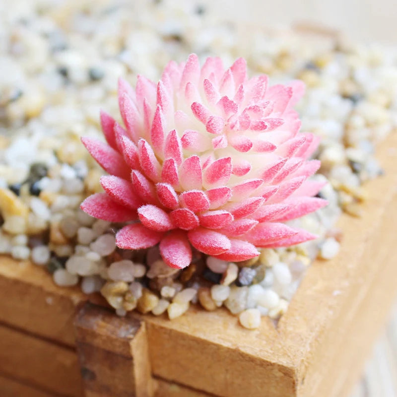 PVC 12g Artificial Plant Landscape Lotus Mini Ornaments Artifical Plant Plastic Succulent Decorative Echeveria