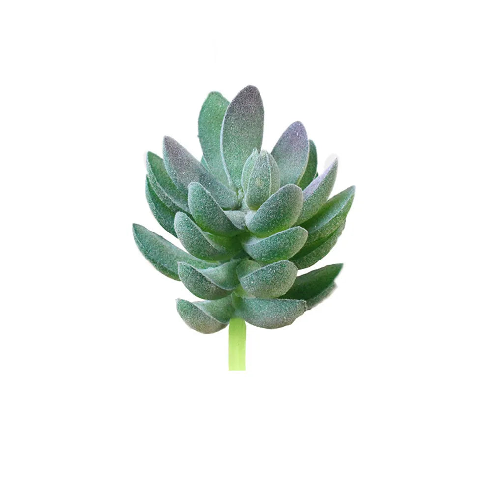 Wedding Decoration Festive Party Supplies Garden Artifical Simulation Fake Mini Succulents Potted Plant Flower Home Office Decor