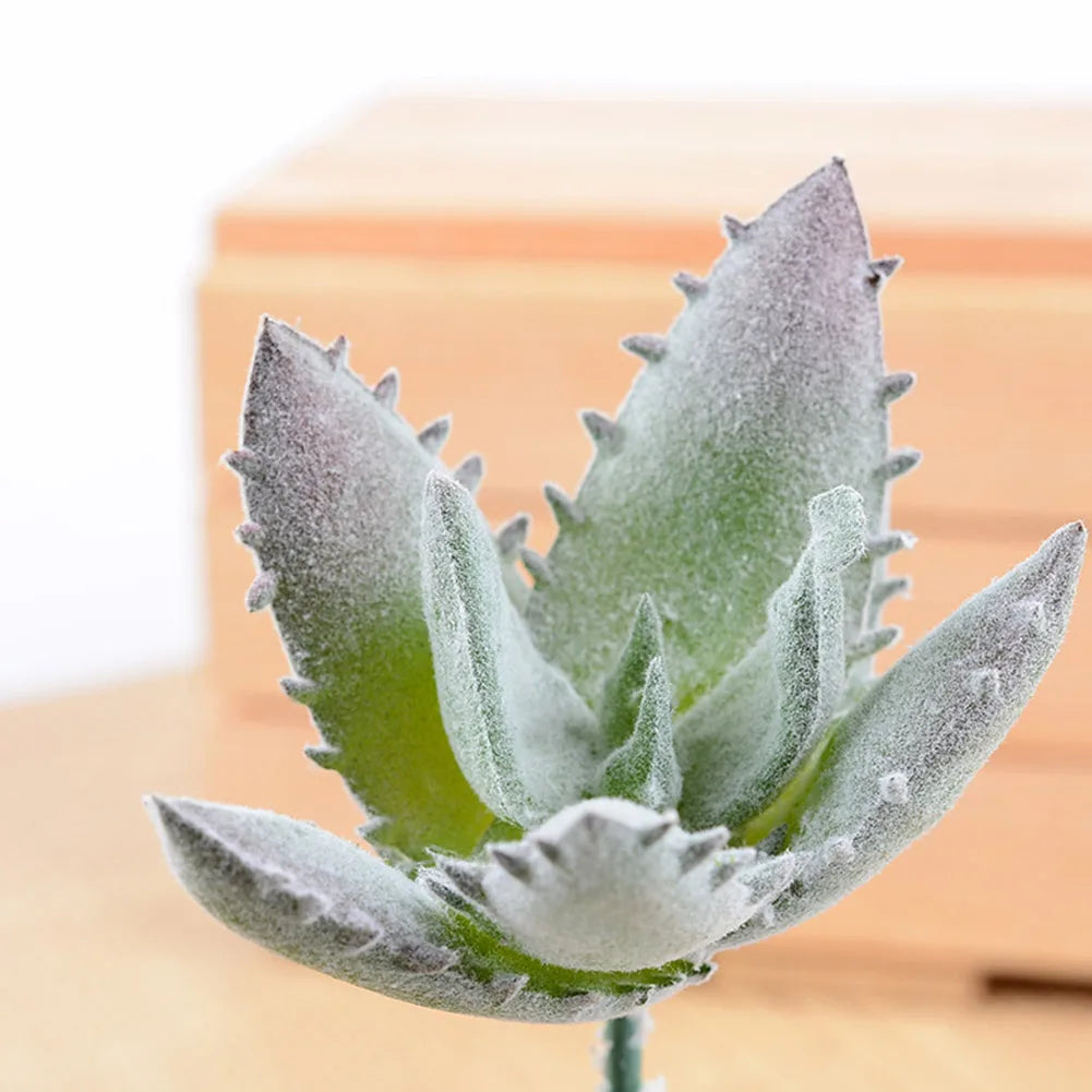 Wedding Decoration Festive Party Supplies Garden Artifical Simulation Fake Mini Succulents Potted Plant Flower Home Office Decor