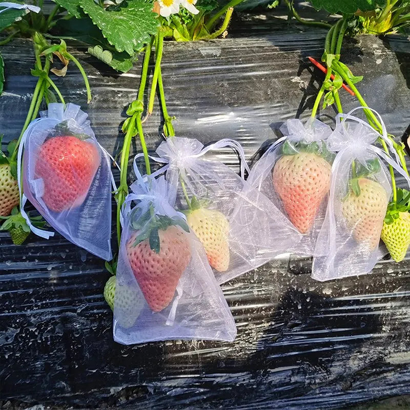 Fruit Protection Bags with Drawstring Garden Plant Net Barrier Bag for Tomatoes Grapes Mangoes