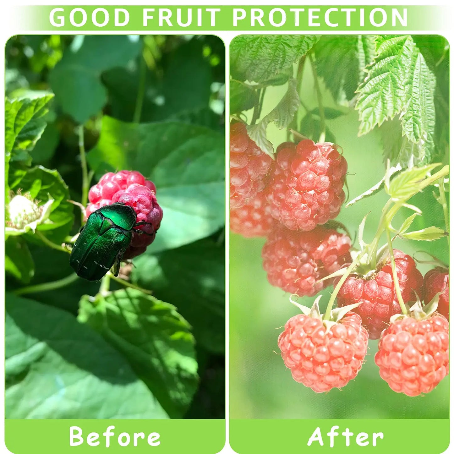50Pcs Grape Fruit Protection Netting Bags with Drawstring for Trees Garden Cover Mesh Bags to Protect Plants from Birds Squirrel