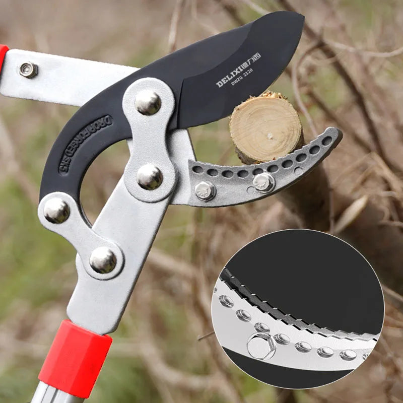 DELIXI Long Pruner Garden Branch Scissors SK5 Steel Garden Tools Professional Hand Tools Gardening Fruit Tree Pruning Shears