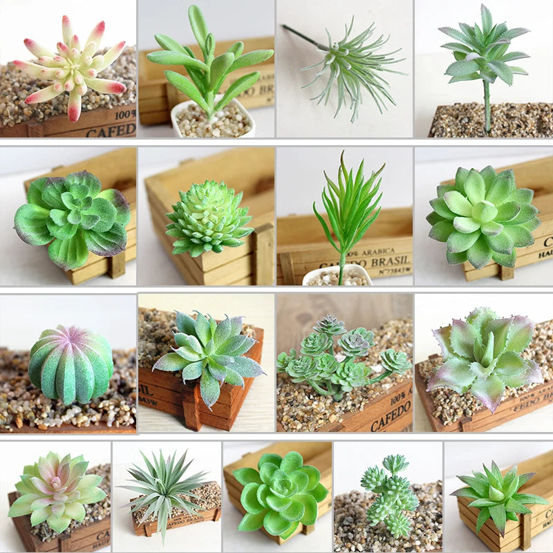 Artifical Plastic Succulent Plant Cactus Echeveria Flower Home Office Decor Gift Support Wholesale Tools Parts