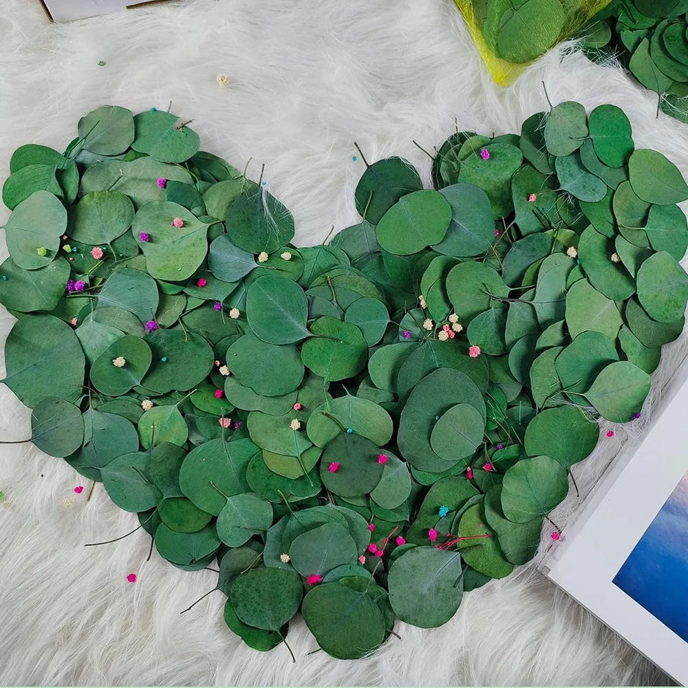 50Pcs Eucalyptus Leaves Dried Flower For Home Decor Artifical Plant Bouquet Branch Room Vase Plant Party Wedding Diy Crafts