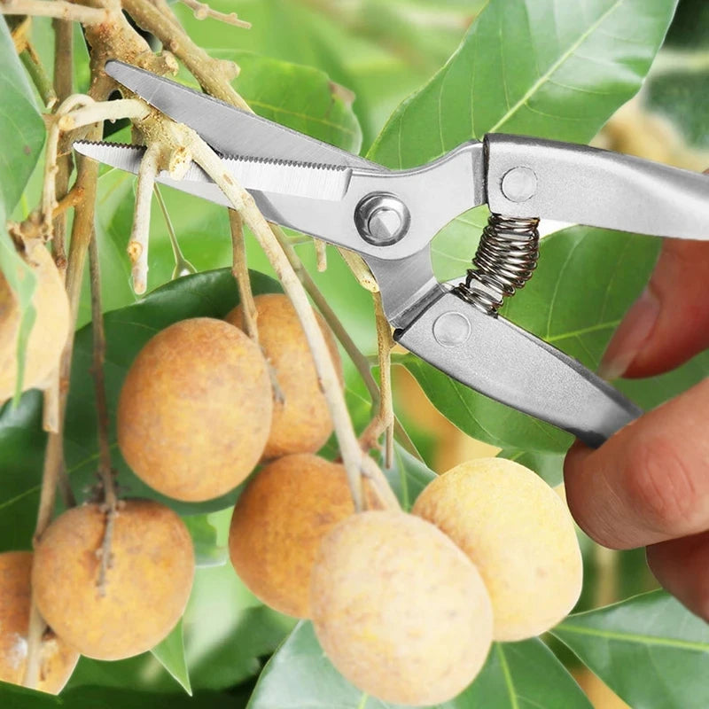 Stainless Steel Pruning Shears Gardening Tools Shears with Serrated Zinc Alloy Handle Fruit Tree Rough Branch Shears