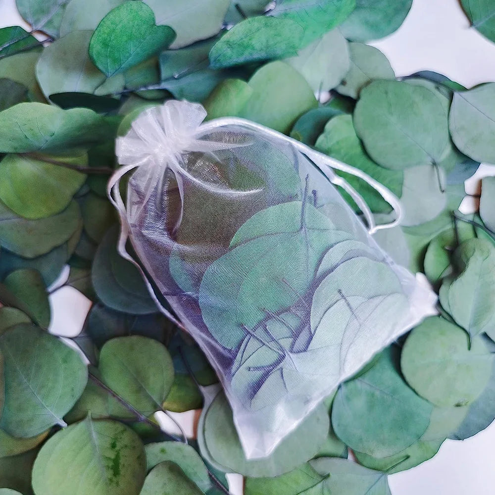 50Pcs Eucalyptus Leaves Dried Flower For Home Decor Artifical Plant Bouquet Branch Room Vase Plant Party Wedding Diy Crafts