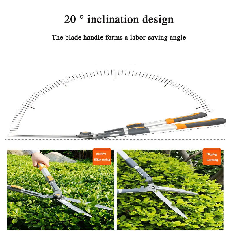 Orchard and for Pruner Garden Scissors Gardening Tools Professional Pruning Shears Garden-urban Tool Accesorries Hand Pruners