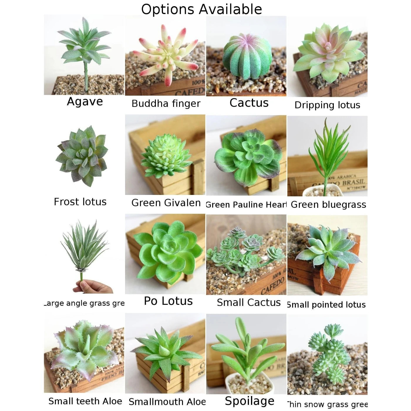 Artifical Plastic Succulent Plant Cactus Echeveria Flower Home Office Decor Gift Support Wholesale Tools Parts