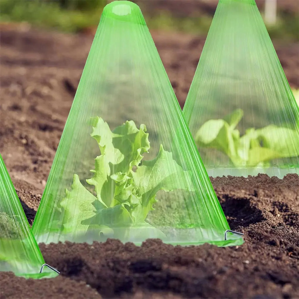 10x Green Garden S Growth With Plant Covers Easy To And Store Effective Plant Protection Plant Bell Green HA102363