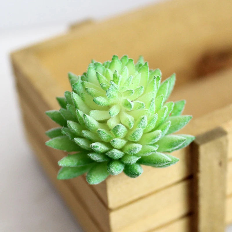 Artifical Plastic Succulent Plant Cactus Echeveria Flower Home Office Decor Gift Support Wholesale Tools Parts