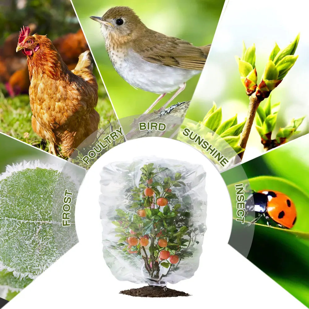 Plant Protection Bag Cover Netting Mesh for Fruit Vegetable Tree Barrier Strawberry Grapes Pest Control Anti-Bird Garden Tools