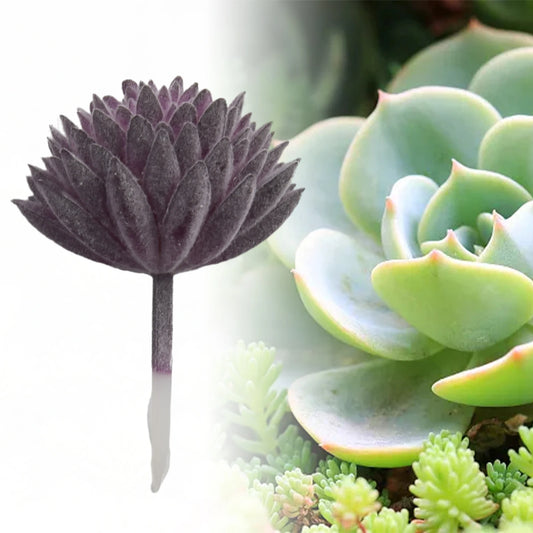 12g Artificial Plant Landscape Mini Ornaments Artifical Plant Cactus Decor Succulent Decorative Echeveria Fake