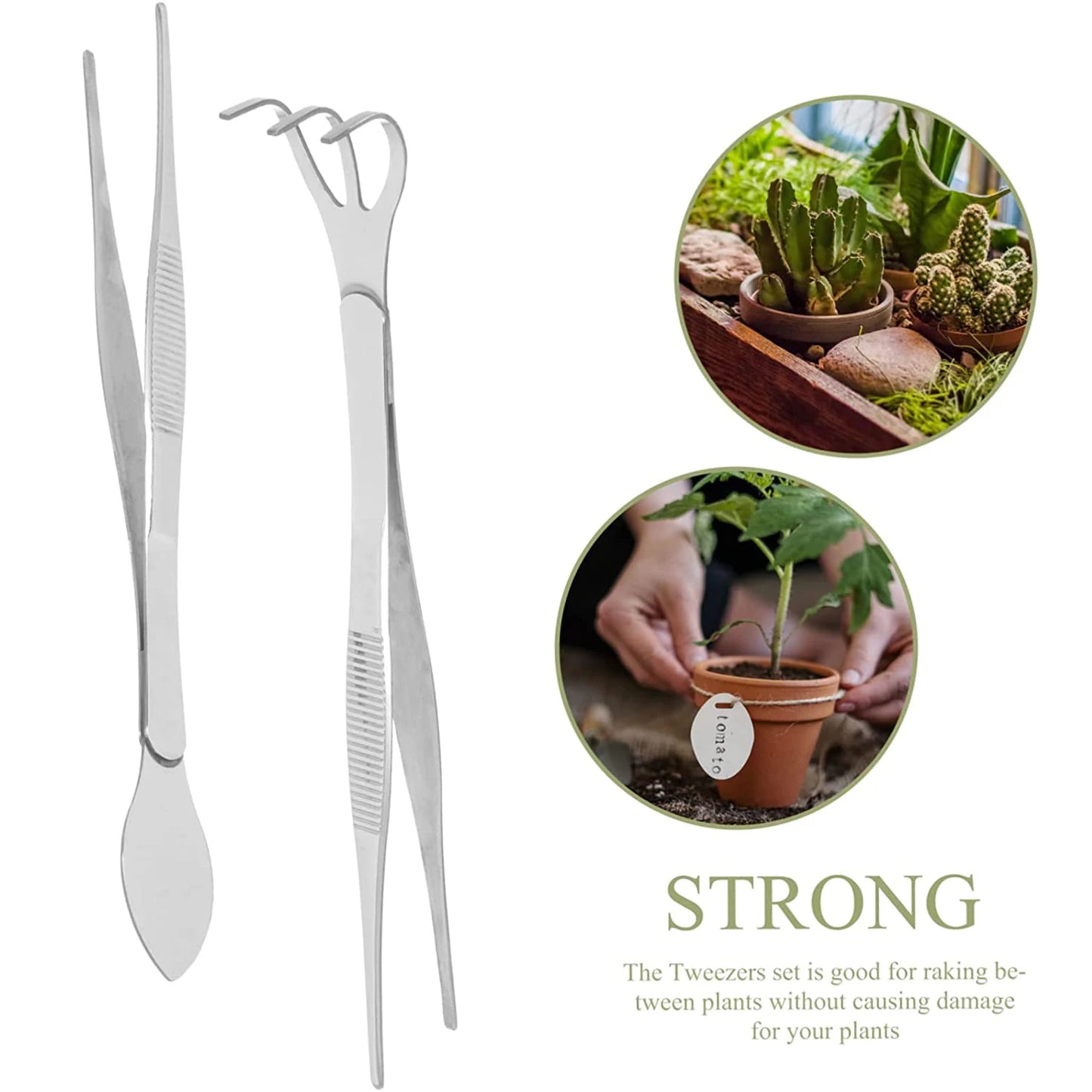 2-in-1  304 Stainless Steel Root Rake with Bonsai Tweezers with Ergonomical Handle Soil Farming Tool for Succulents Crafting