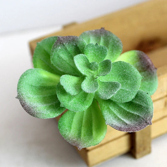 Artifical Plastic Succulent Plant Cactus Echeveria Flower Home Office Decor Gift Support Wholesale Tools Parts